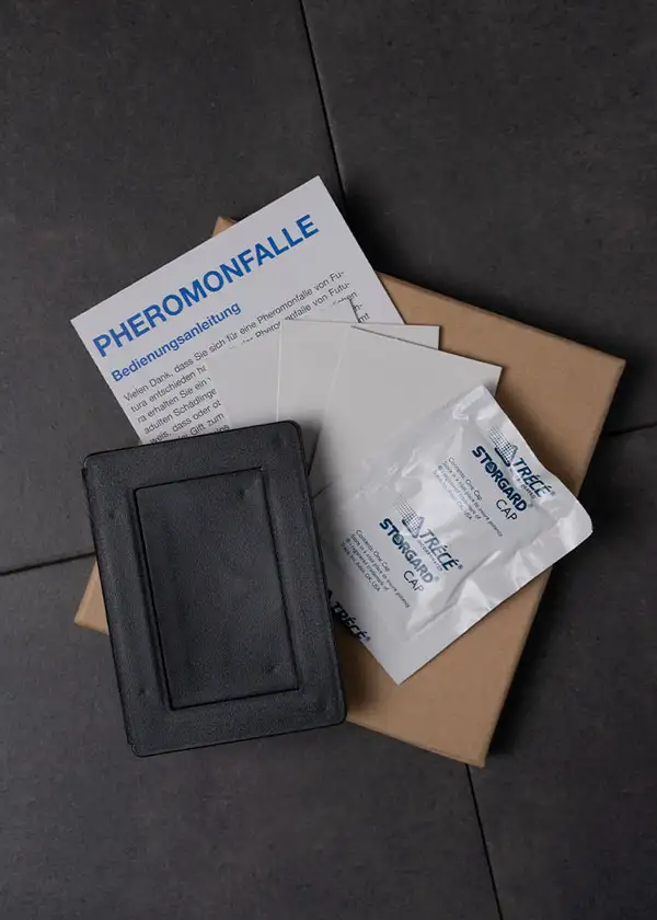 futura_insekten_reismehlkaefer_kaefer_2-jpg Reismehlkäfer Set