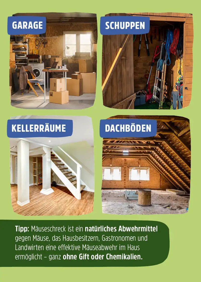 Mäuseschreck - Natürliche Mäuseabwehr ohne Chemikalien, 2er Pack Mäuseschreck - Natürliche Mäuseabwehr ohne Chemikalien, 2er Pack