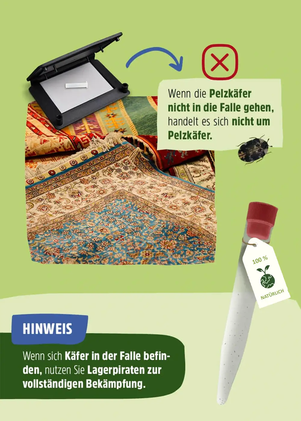 Pelzkäfer Pheromonfalle | Klebefalle Pelzkäfer Pheromonfalle | Klebefalle