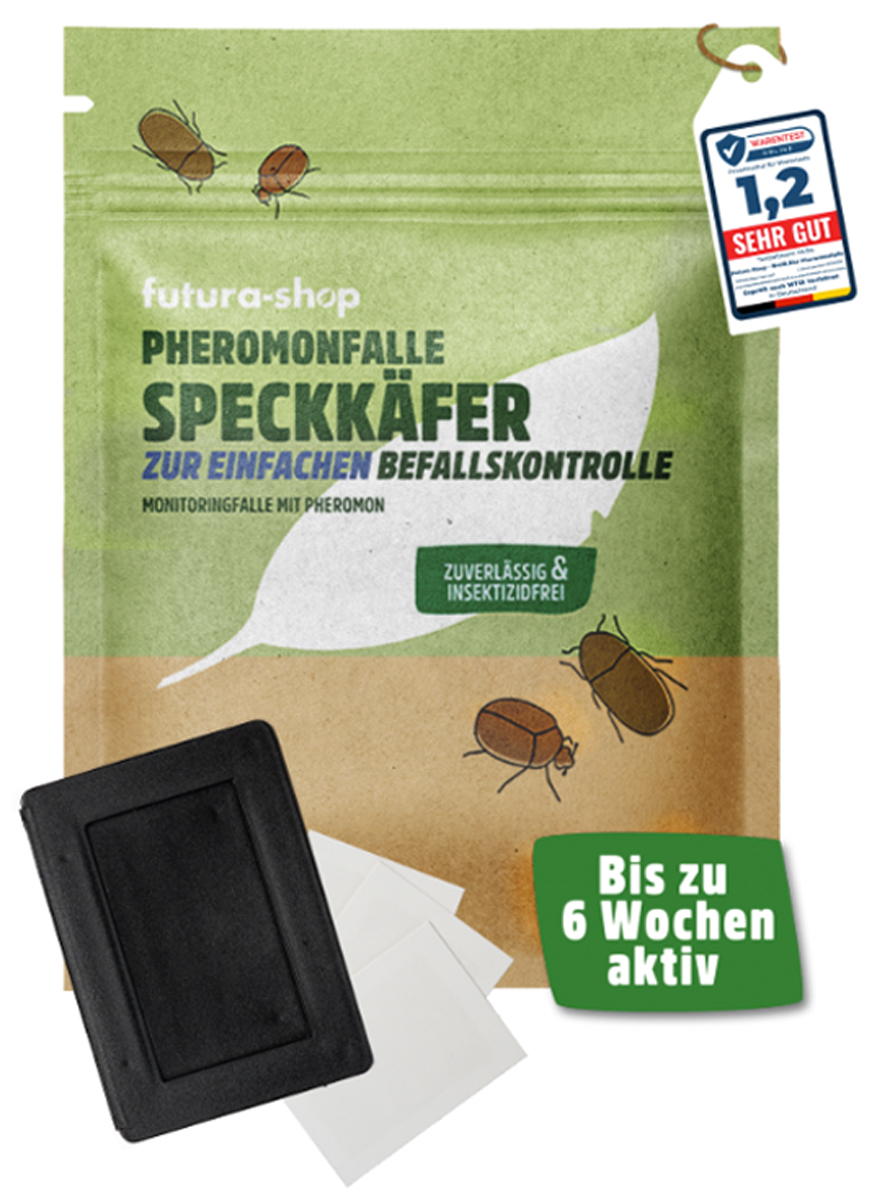 Speckkäfer | Khaprakäfer Pheromonfalle