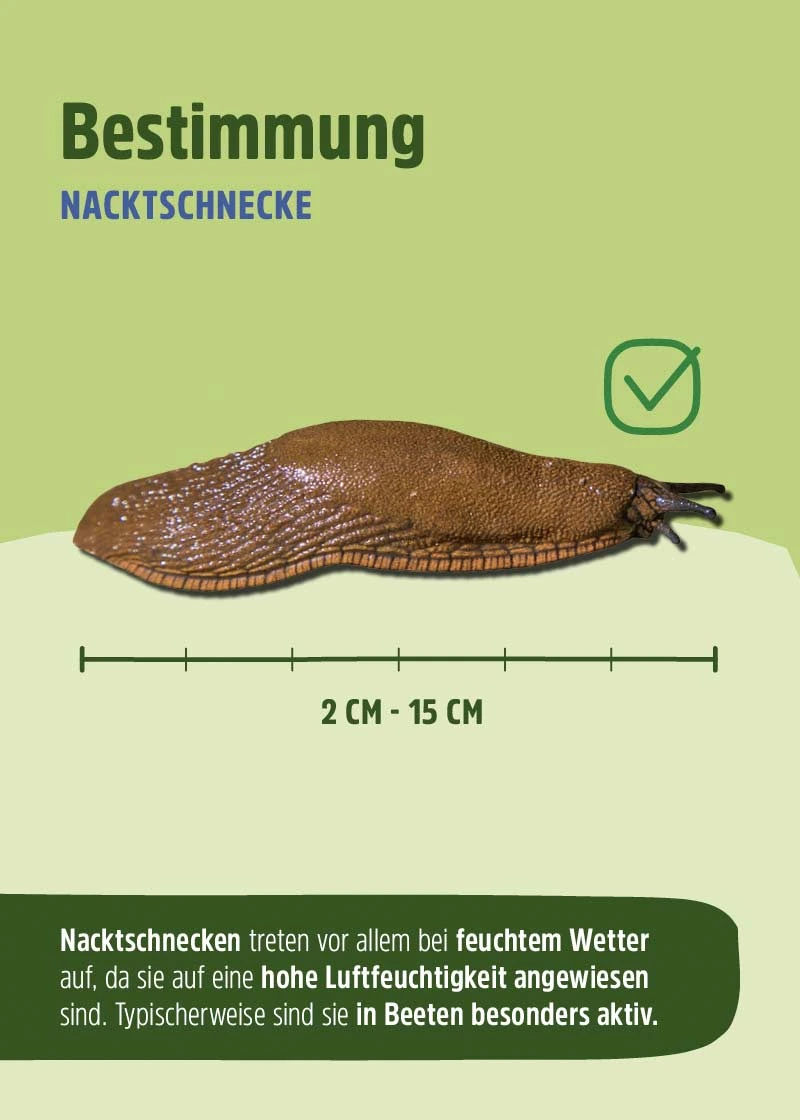 Schneckenfalle | 10 Stück Schneckenfalle | 10 Stück