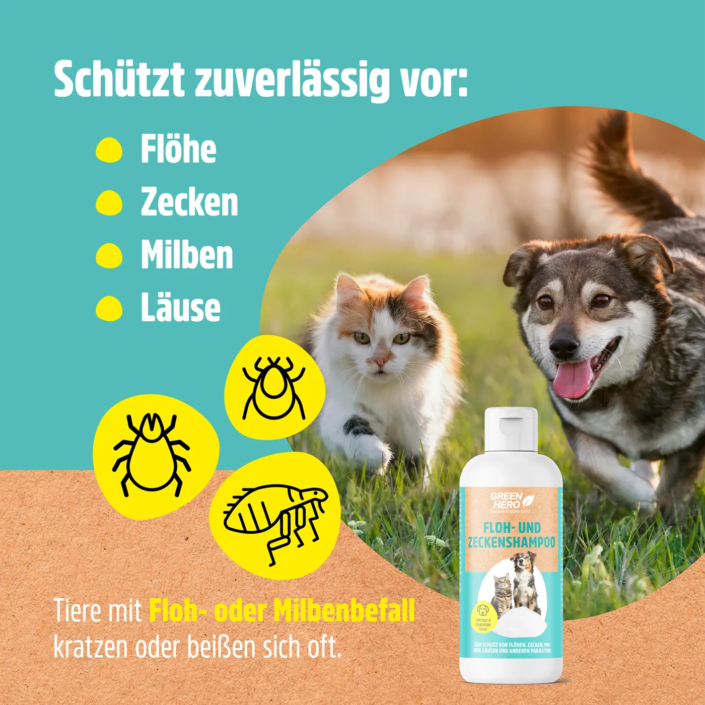 Floh- und Zeckenshampoo für Hunde und Katzen Floh- und Zeckenshampoo für Hunde und Katzen