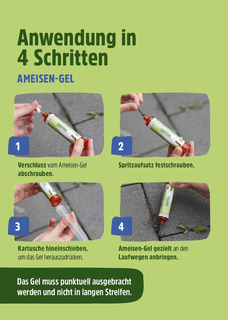 Ameisenköder Gel Ameisenköder Gel