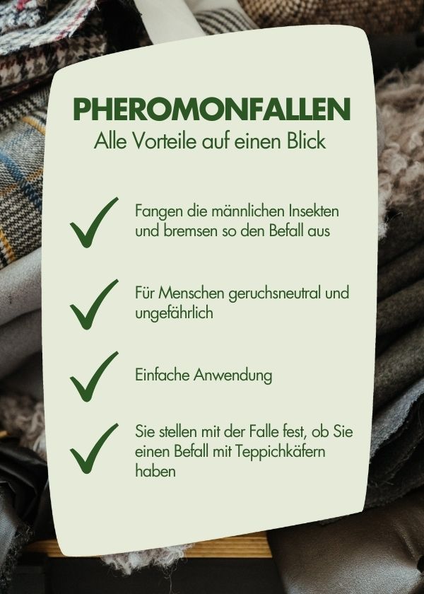 reismehlkaefer_vorteile Reismehlkäfer Vorteile