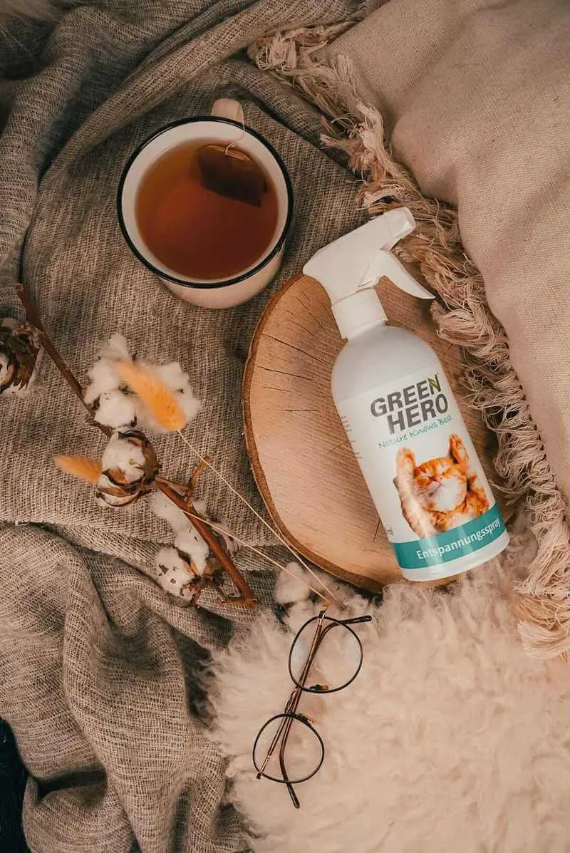 greenhero_entspnnungsspray_katzen_anwendung Green Hero Entspannungsspray für Katzen