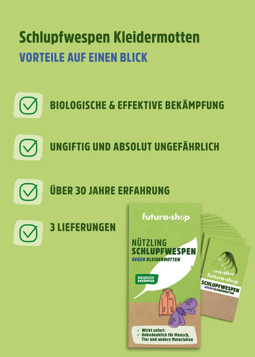 Schlupfwespen gegen Kleidermotten Schlupfwespen gegen Kleidermotten