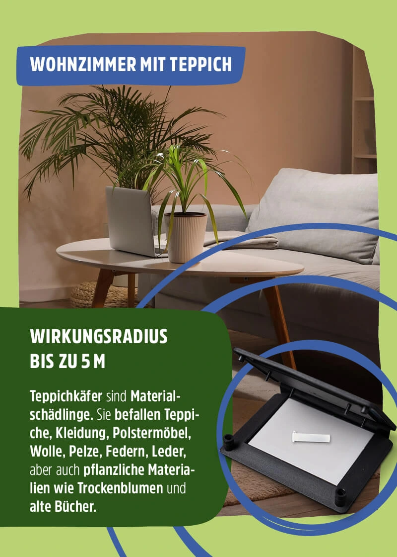 Teppichkäfer Pheromonfalle Teppichkäfer Pheromonfalle