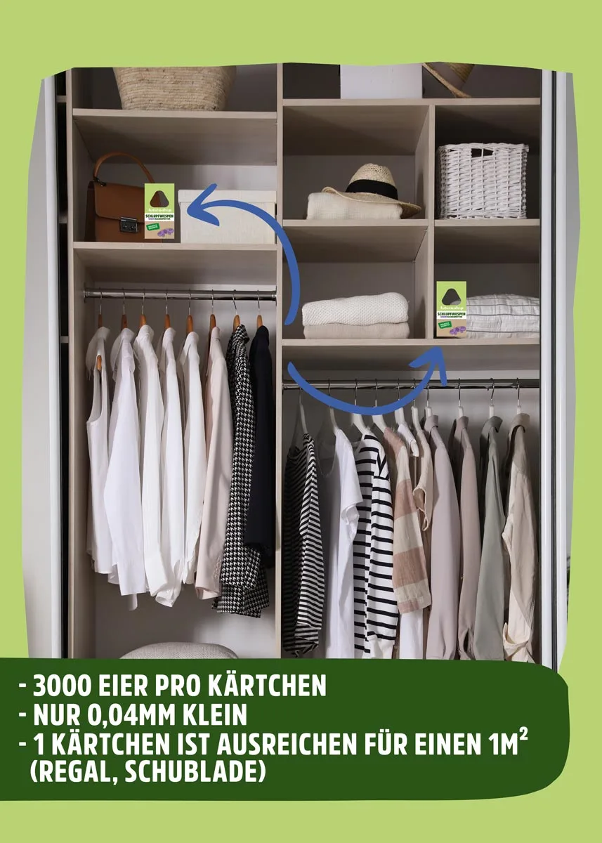 Schlupfwespen gegen Kleidermotten Schlupfwespen gegen Kleidermotten