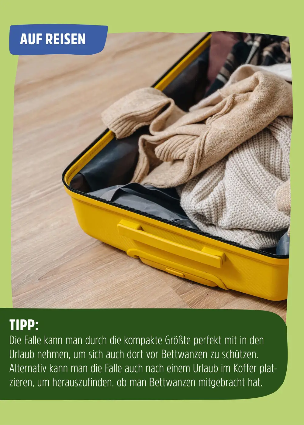 Bettwanzen Falle  Bettwanzen Falle