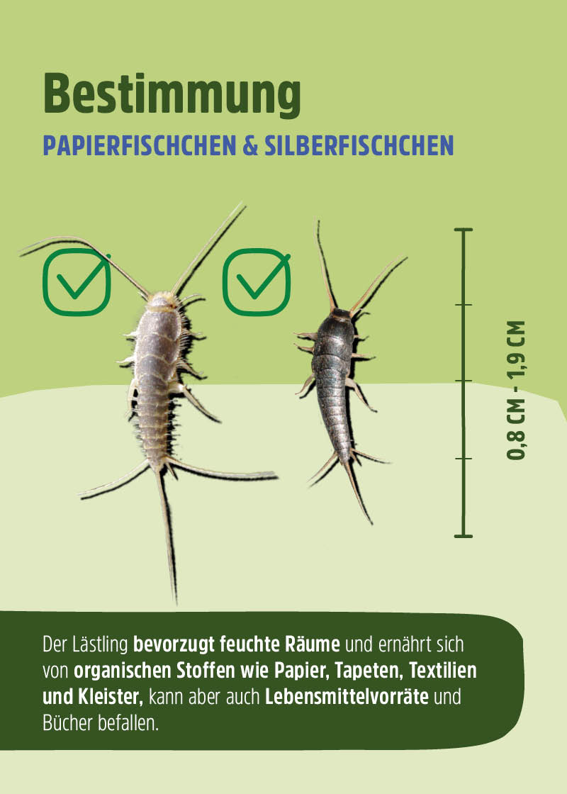 Silberfisch Spray Silberfisch Spray