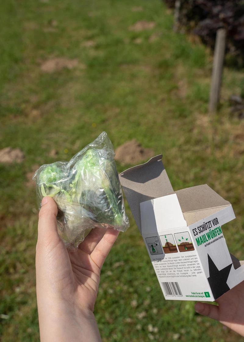 04_DSC06551 Maulwurfschreck