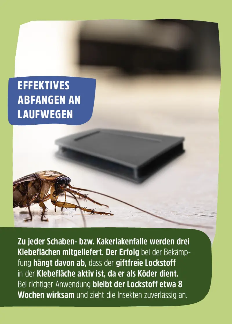 Schabenfalle | Kakerlakenfalle | Klebefalle Schaben Schabenfalle | Kakerlakenfalle | Klebefalle Schaben