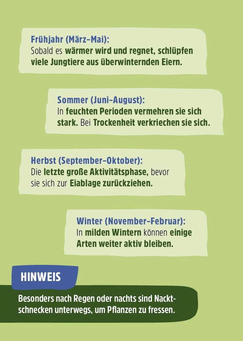 Schneckenfalle | 10 Stück Schneckenfalle | 10 Stück