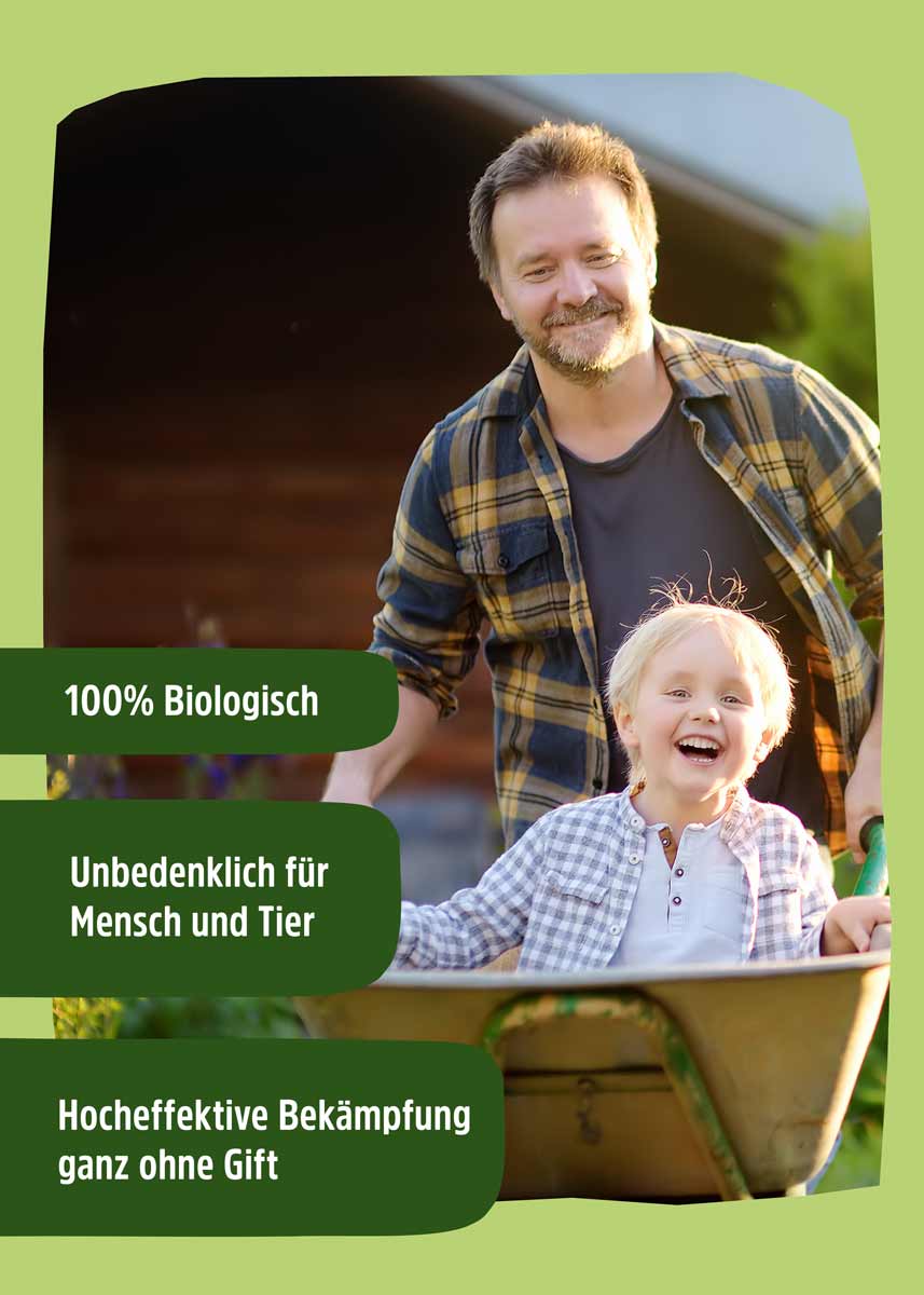 HB Nematoden gegen Maikäfer - 10 Mio. HB Nematoden gegen Maikäfer - 10 Mio.