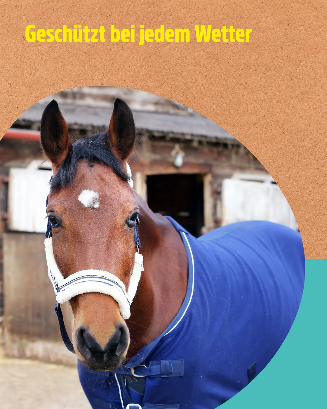 Green Hero Pferdedecken Imprägnierung Green Hero Pferdedecken Imprägnierung