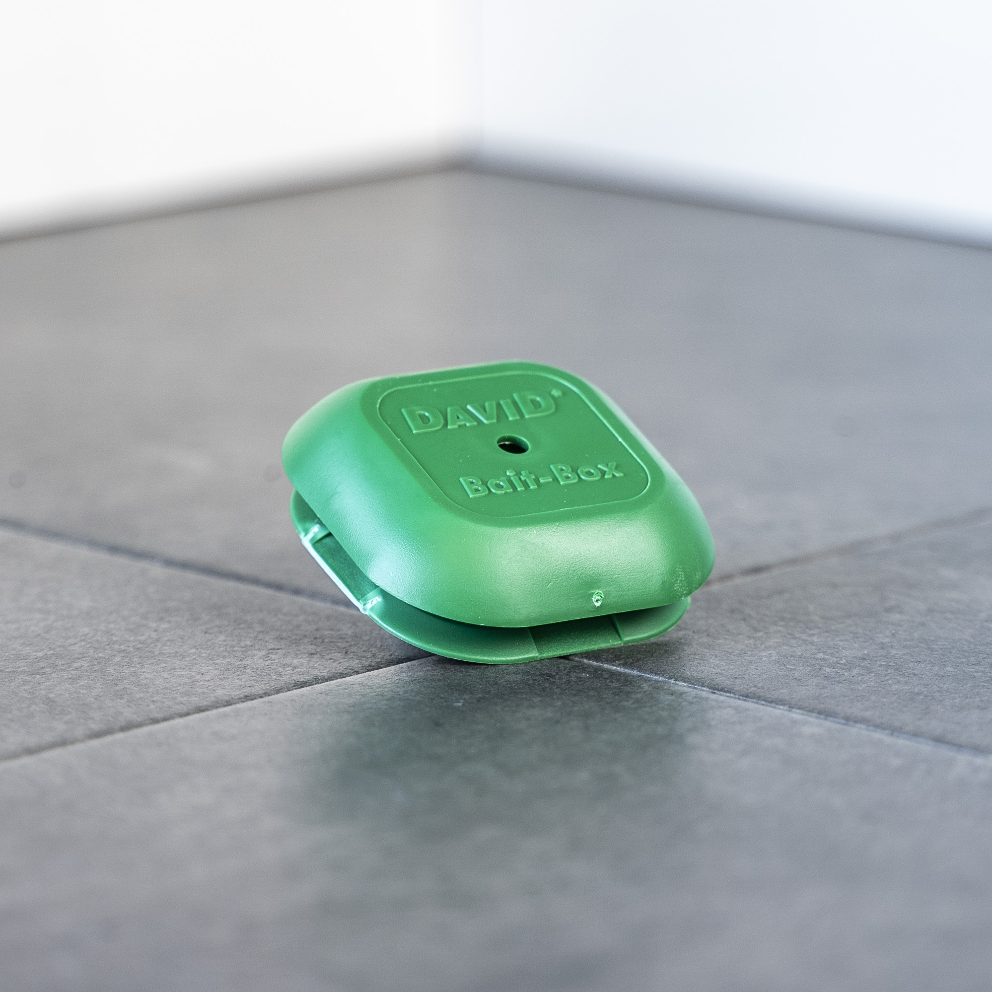 DavidLeerk-derdoseWBhTaW3m0b2IS David Leerköderdose für Ameisenködergel