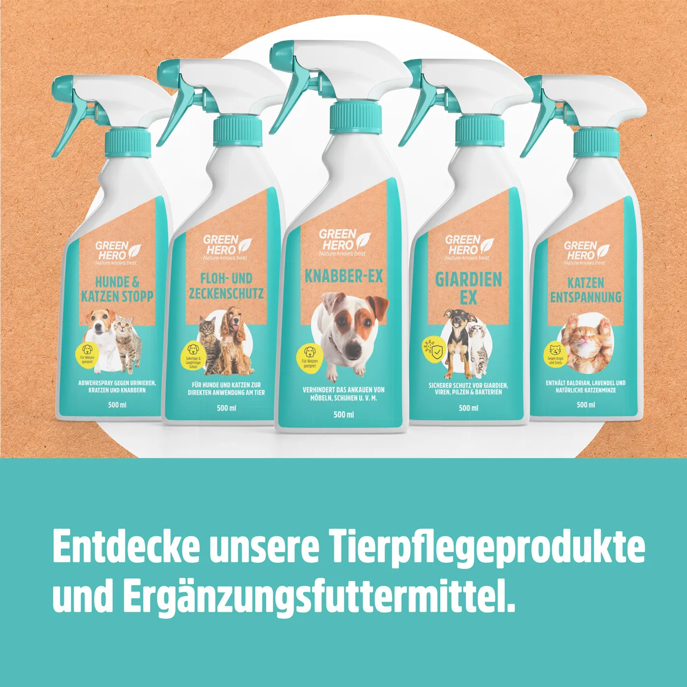 Knabber-Ex um Kauen und Knabbern abzutrainieren