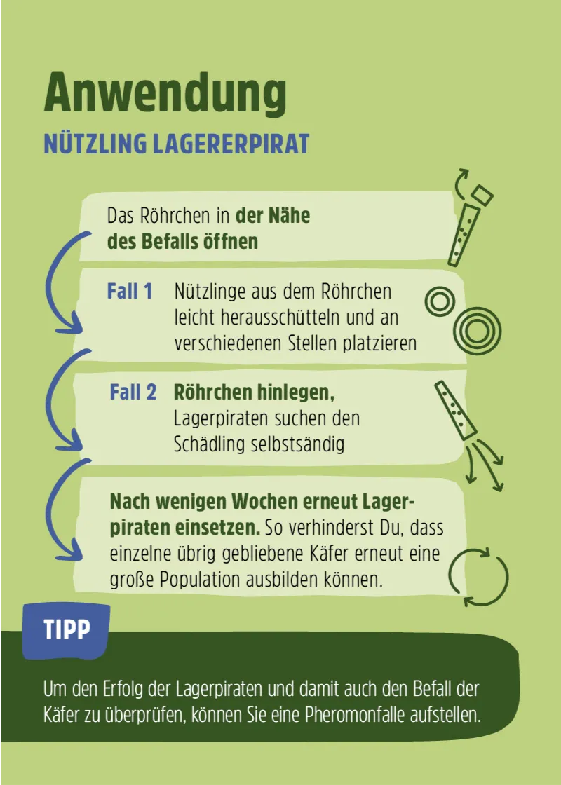 Nützling "Lagerpiraten" gegen Speckkäfer, Khaprakäfer und Reismehlkäfer | biologisch bekämpfen Nützling "Lagerpiraten" gegen Speckkäfer, Khaprakäfer und Reismehlkäfer | biologisch bekämpfen