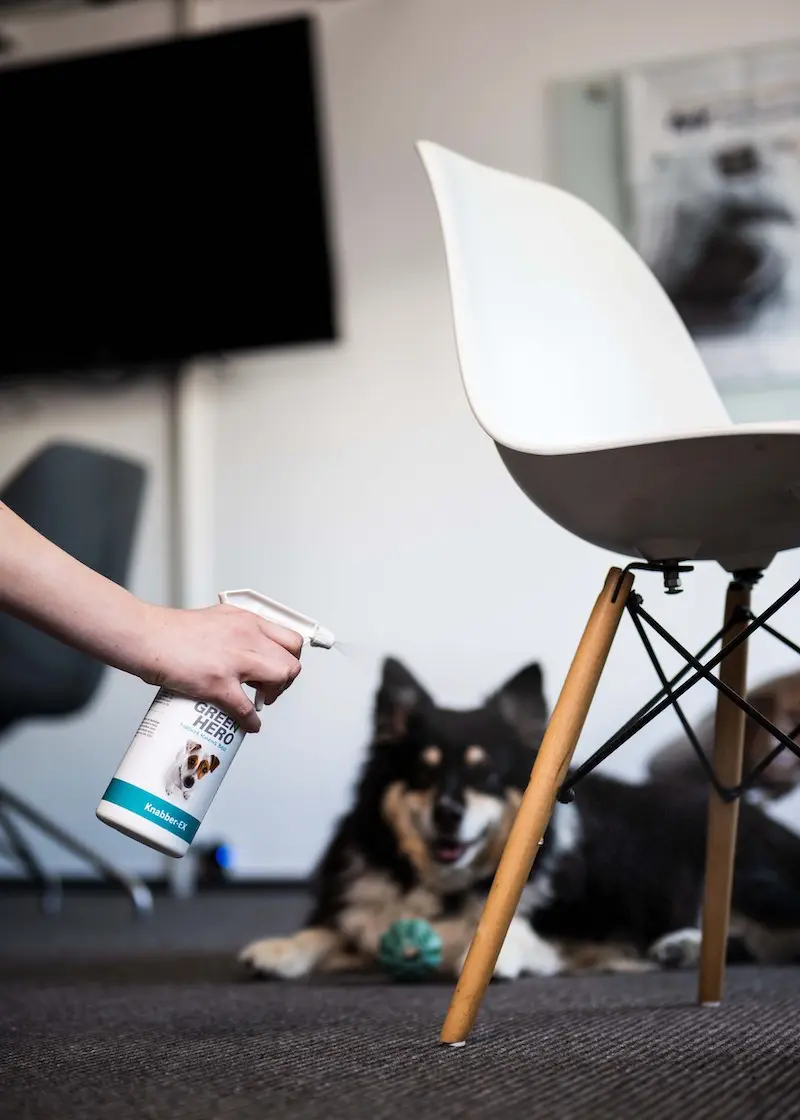 greenhero_knabber-ex_andwendung_01 Knabber-Ex um Kauen und Knabbern abzutrainieren