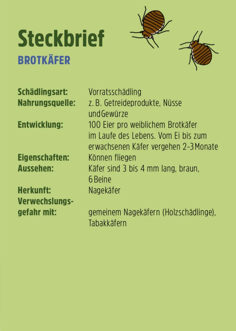 Brotkäfer Pheromonfalle Brotkäfer Pheromonfalle