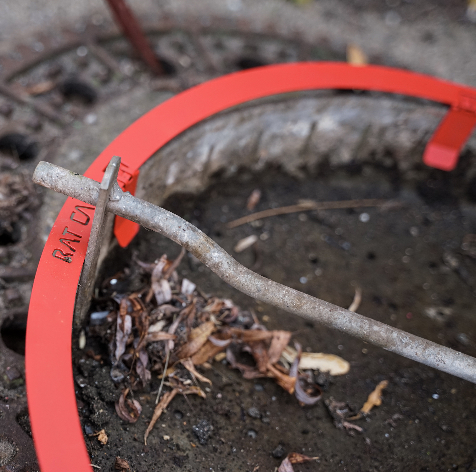 RatCap-Ratten-Kanal RatCap® (Rattenstopper), 10er Set