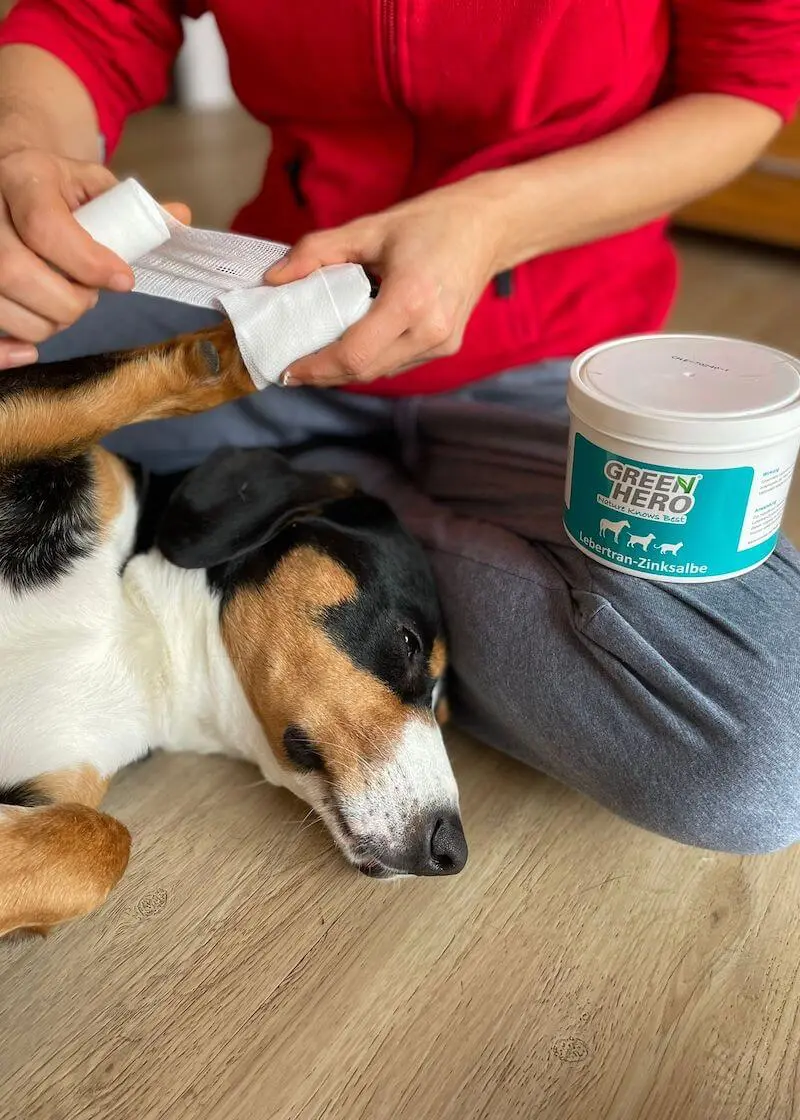 greenhero_lebertran_zinksalbe_01 Lebertran-Zinksalbe pflegt die Haut bei Reizungen