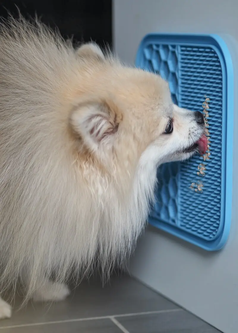 greenhero_hunde_schleckmatte_02Wob0CHdEyGeP8 Schleckmatte für Hunde und Katzen - 2er Set