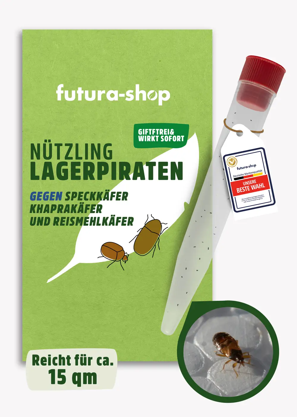 Nützling "Lagerpiraten" gegen Speckkäfer, Khaprakäfer und Reismehlkäfer | biologisch bekämpfen
