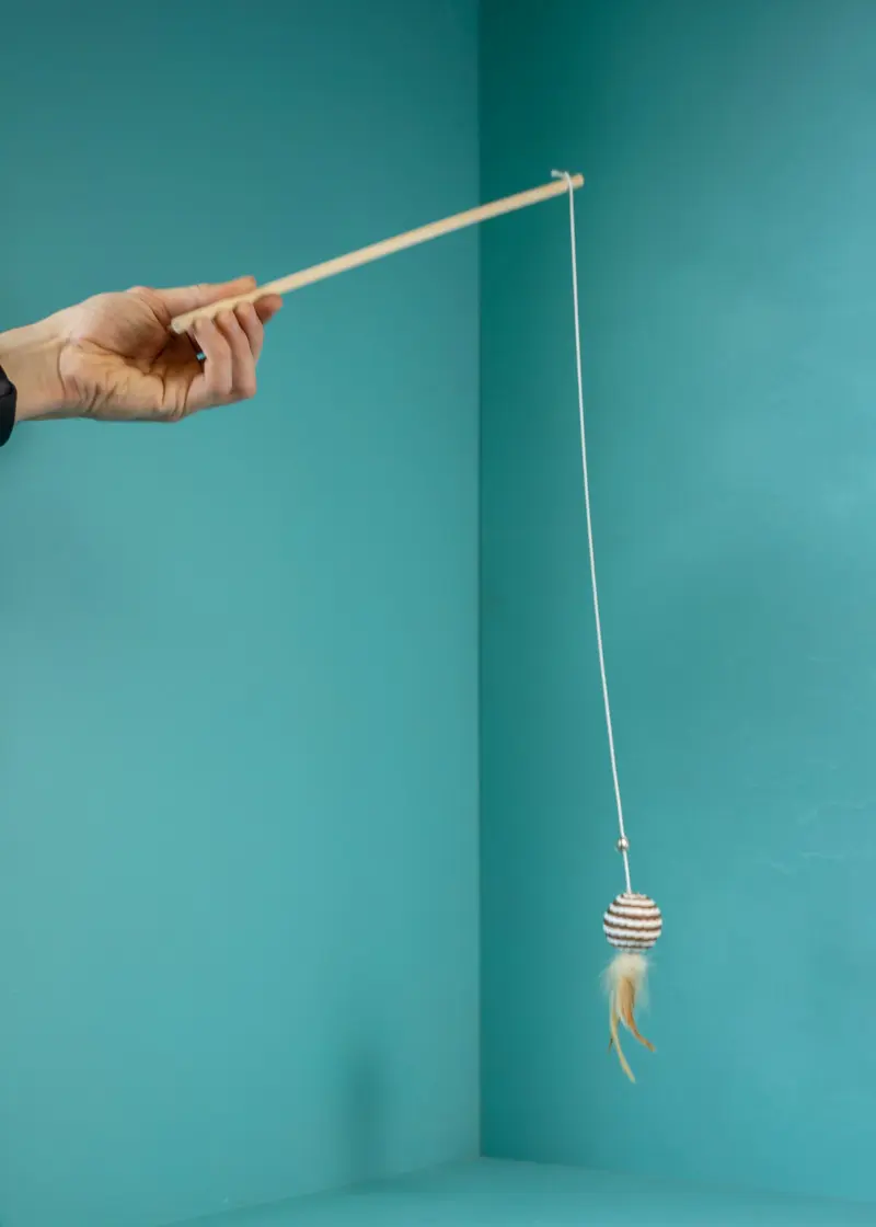 greenhero_katzenangel_3 Katzenangel mit Ball braun-weiß