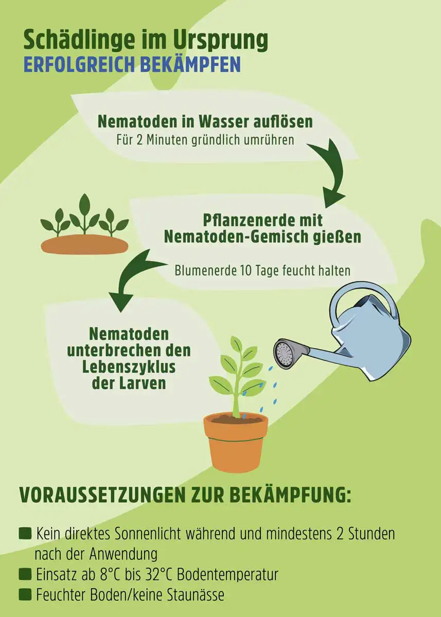 HB Nematoden gegen Engerlinge - 10 Mio. HB Nematoden gegen Engerlinge - 10 Mio.