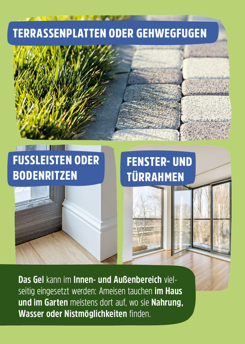 Ameisenköder Gel Ameisenköder Gel