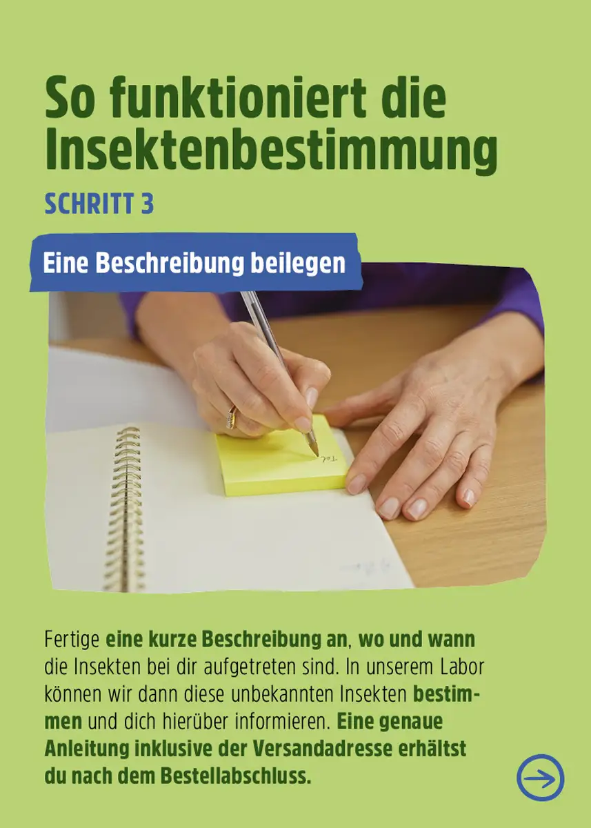 Insektenbestimmung - Welchen Schädling haben Sie zu Hause? Insektenbestimmung - Welchen Schädling haben Sie zu Hause?