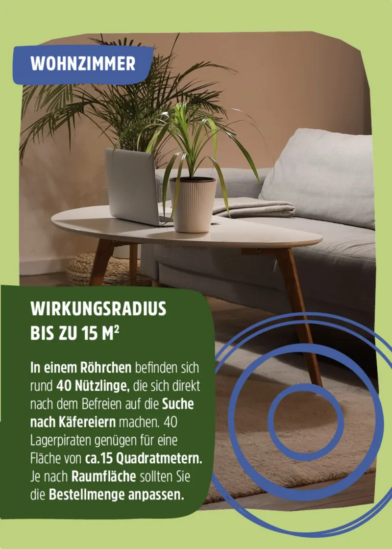 Nützling "Lagerpiraten" gegen Speckkäfer, Khaprakäfer und Reismehlkäfer | biologisch bekämpfen Nützling "Lagerpiraten" gegen Speckkäfer, Khaprakäfer und Reismehlkäfer | biologisch bekämpfen