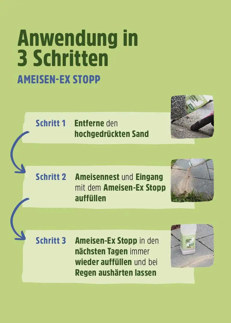 Ameisen-Ex Stopp Ameisen-Ex Stopp