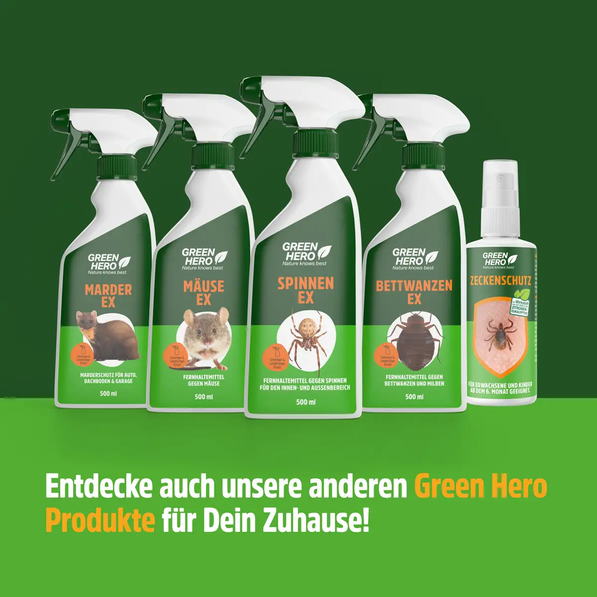 GreenHero® Spinnen-Ex Spray für Balkon, Terrasse und auf dem Boot GreenHero® Spinnen-Ex Spray für Balkon, Terrasse und auf dem Boot