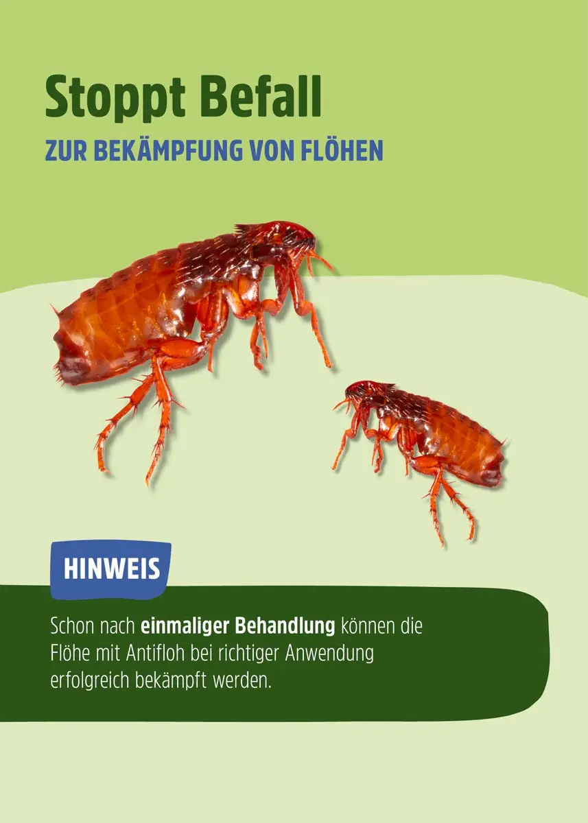 Anti-Flohspray, 1 Liter zur Flohbekämpfung Anti-Flohspray, 1 Liter zur Flohbekämpfung