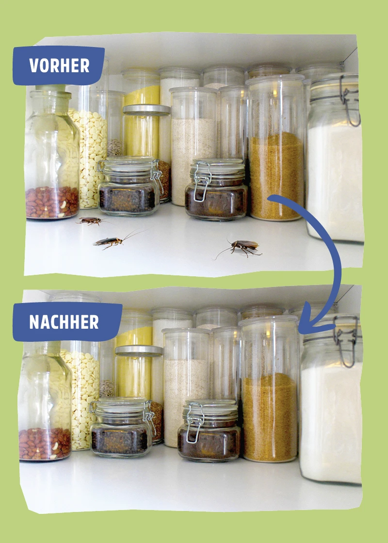 Kakerlaken Spray | Schaben Spray - Wirkungsvoller Schutz Kakerlaken Spray | Schaben Spray - Wirkungsvoller Schutz