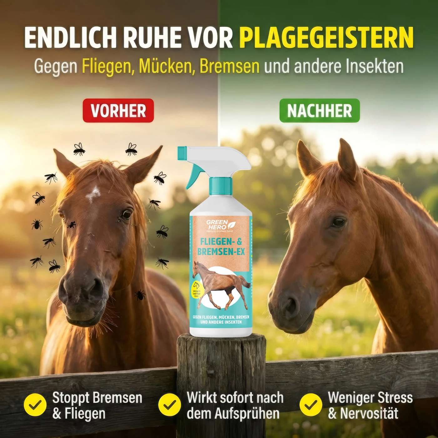 Bremsen-Ex schützt das Pferd vor Insekten