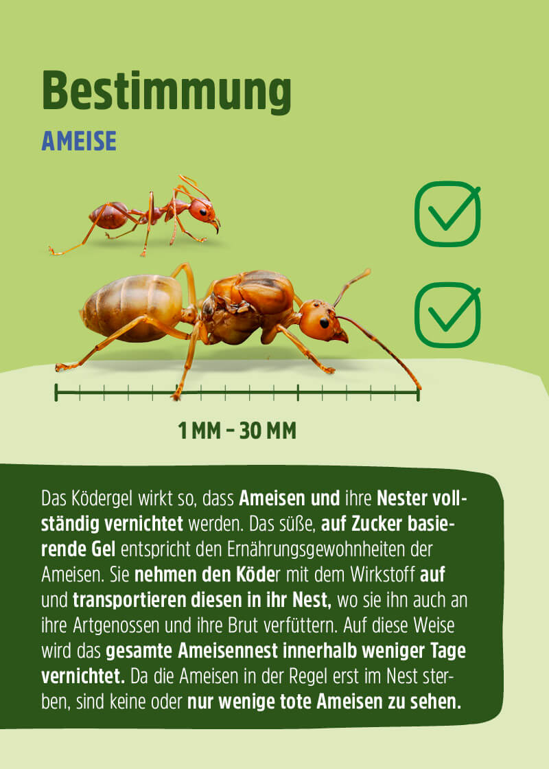 Ameisenköder Gel Ameisenköder Gel