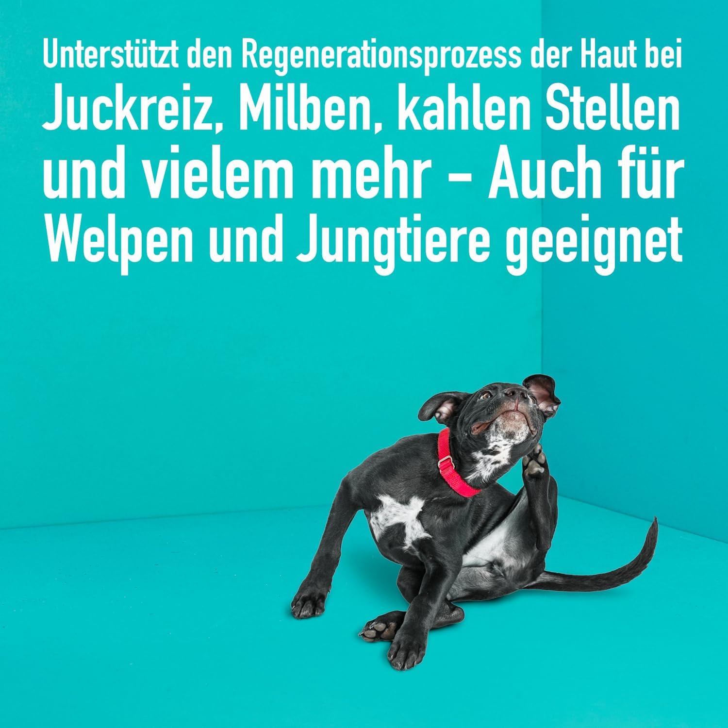 greenhero_kolloidales_silberspray_regenerations Kolloidales Silber Spray