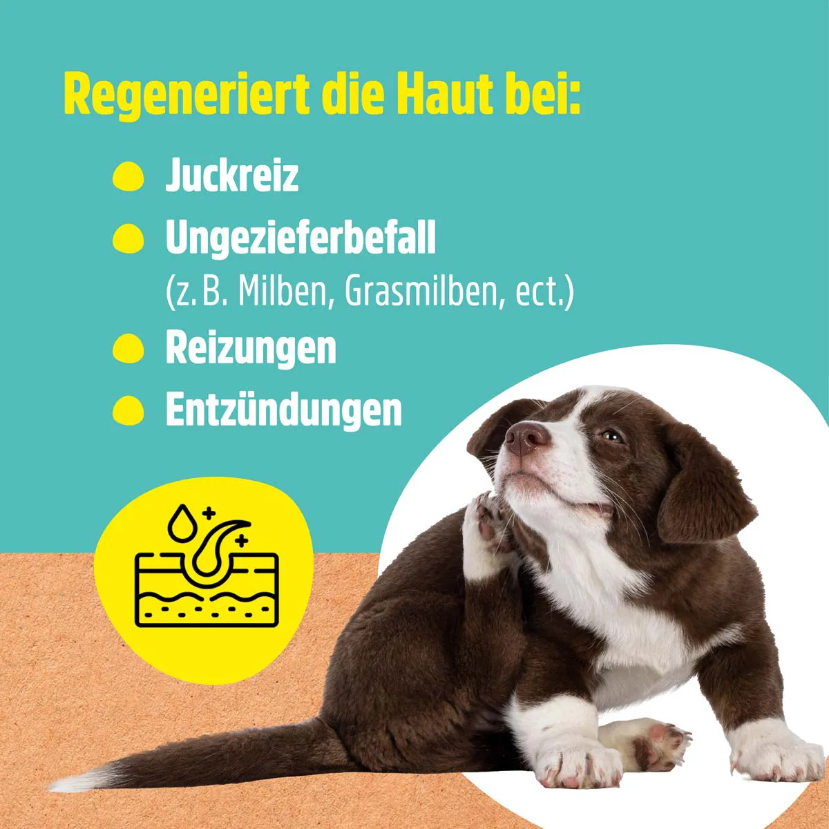 Haustierpflege pflegt die Haut bei Juckreiz und Milben Haustierpflege pflegt die Haut bei Juckreiz und Milben