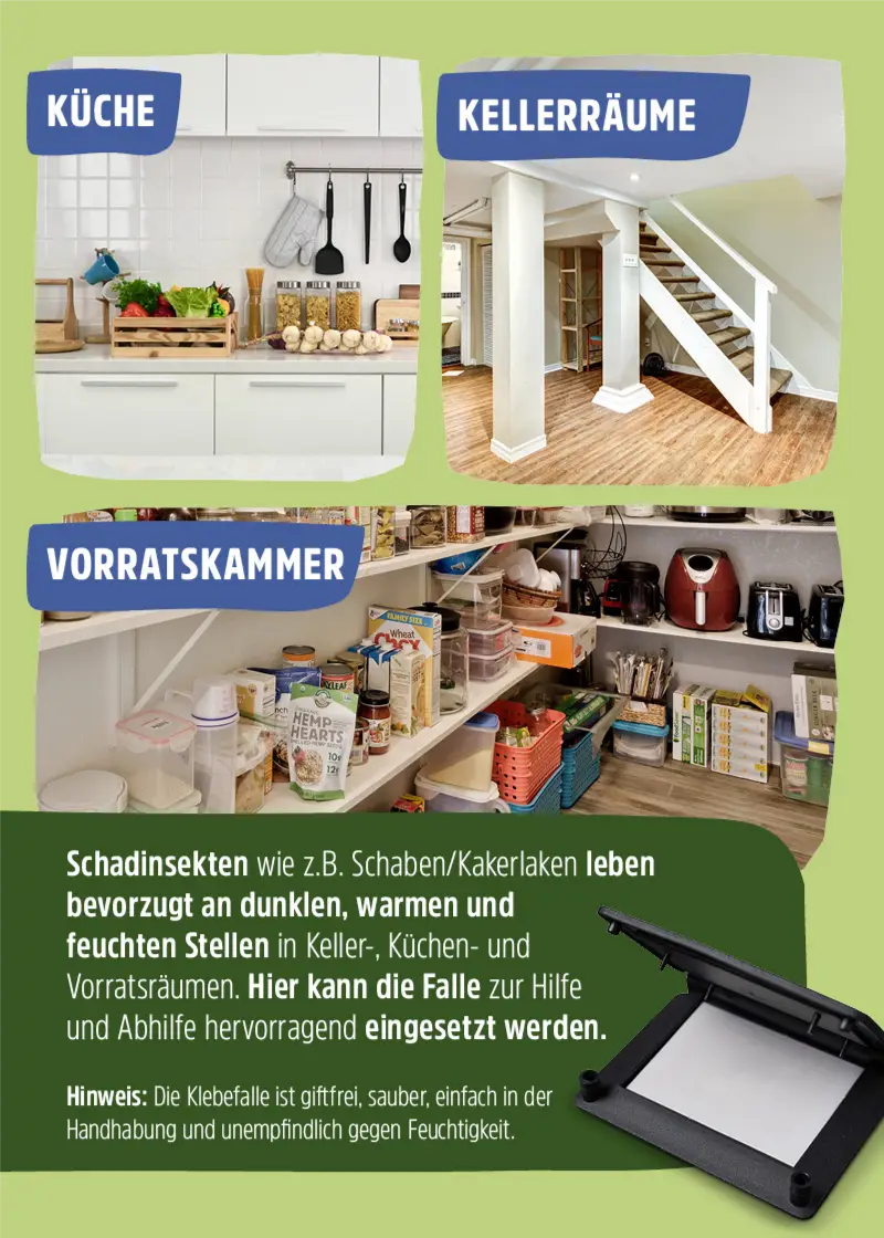 Schabenfalle | Kakerlakenfalle | Klebefalle Schaben Schabenfalle | Kakerlakenfalle | Klebefalle Schaben