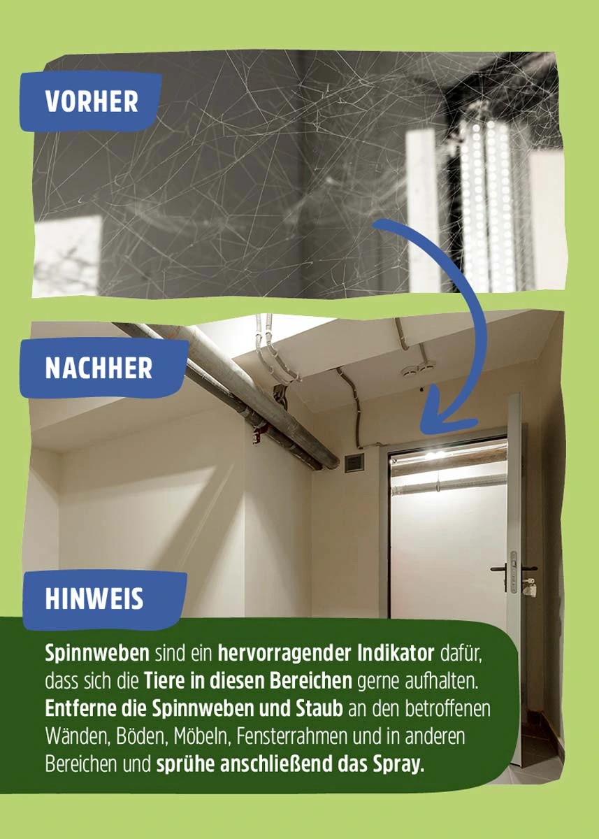 Spinnenspray "Spinnen-Ex" | Effektive Spinnen-Abwehr Spinnenspray "Spinnen-Ex" | Effektive Spinnen-Abwehr