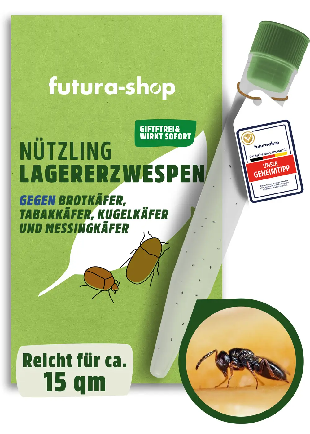 Schlupfwespen "Lagererzwespen" gegen Brotkäfer, Tabakkäfer, Kugelkäfer, Messingkäfer | biologisch Schlupfwespen "Lagererzwespen" gegen Brotkäfer, Tabakkäfer, Kugelkäfer, Messingkäfer | biologisch
