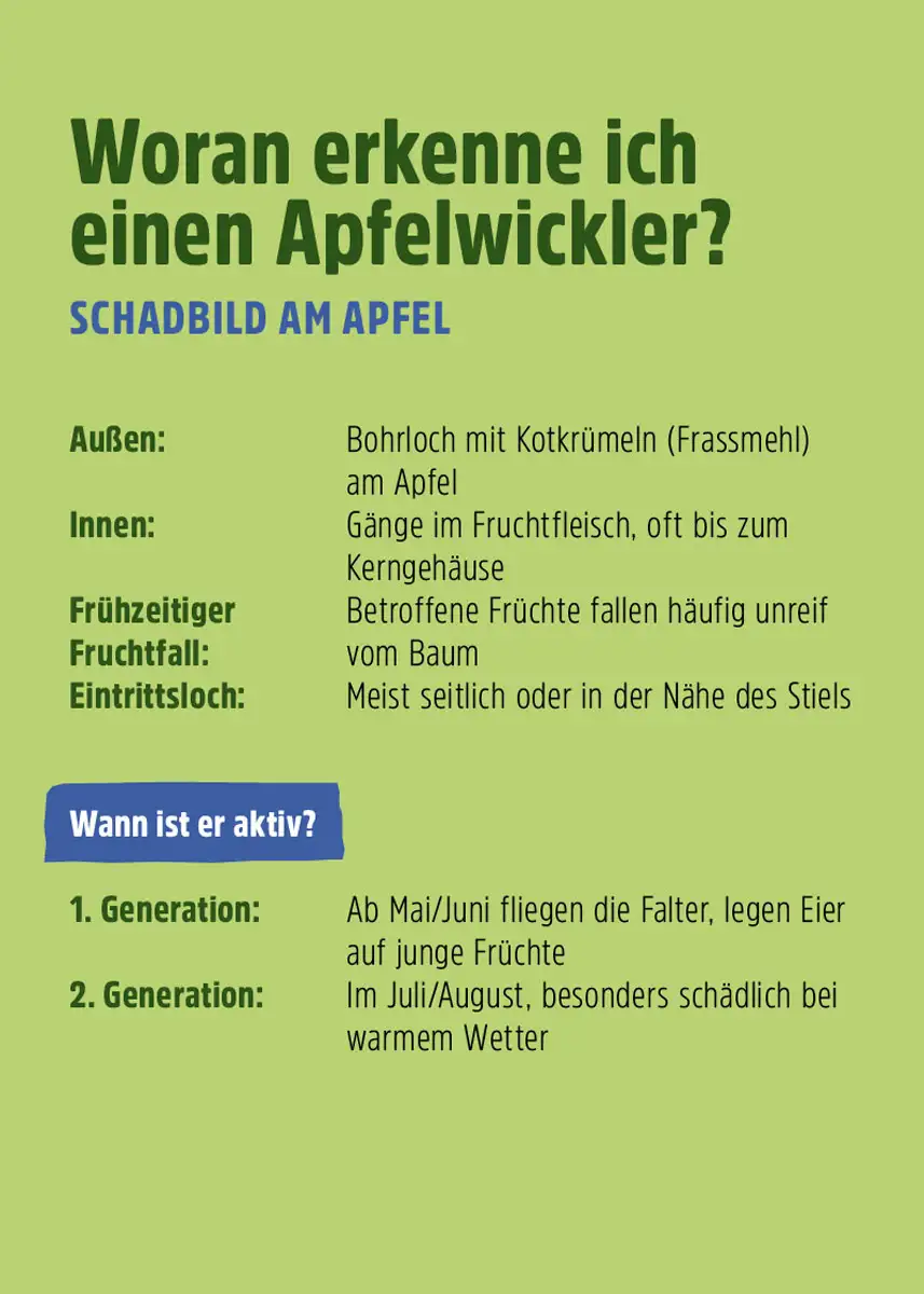 FS Apfelwickler Falle, 2er Set FS Apfelwickler Falle, 2er Set