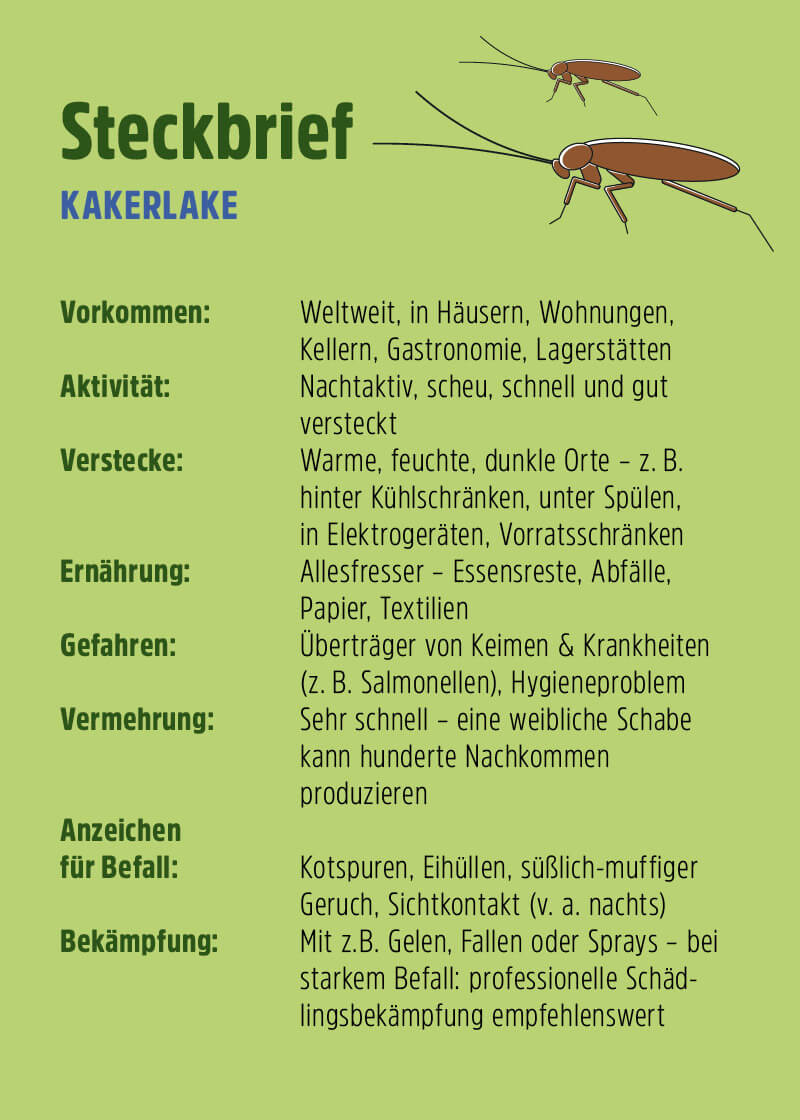 Kakerlaken Gel Kakerlaken Gel