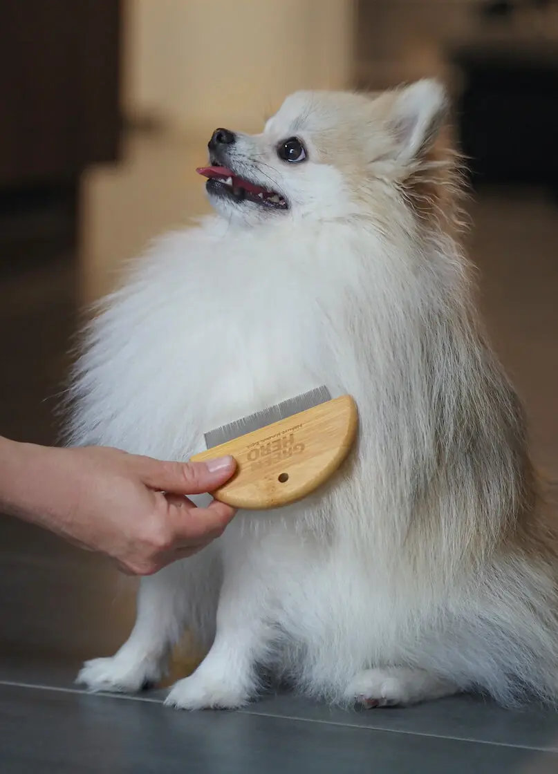 greenhero_Flohkamm_Anwendung Flohkamm und Läusekamm für Hunde und Katzen