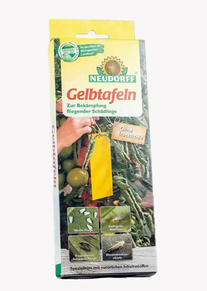Gelbtafeln (kleinformatig) gegen Fliegen und Trauermücken
