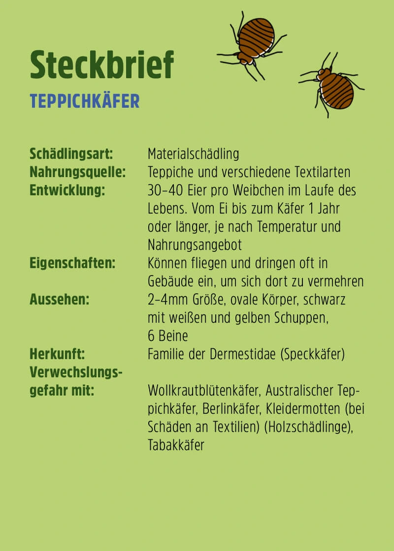 Teppichkäfer Pheromonfalle Teppichkäfer Pheromonfalle