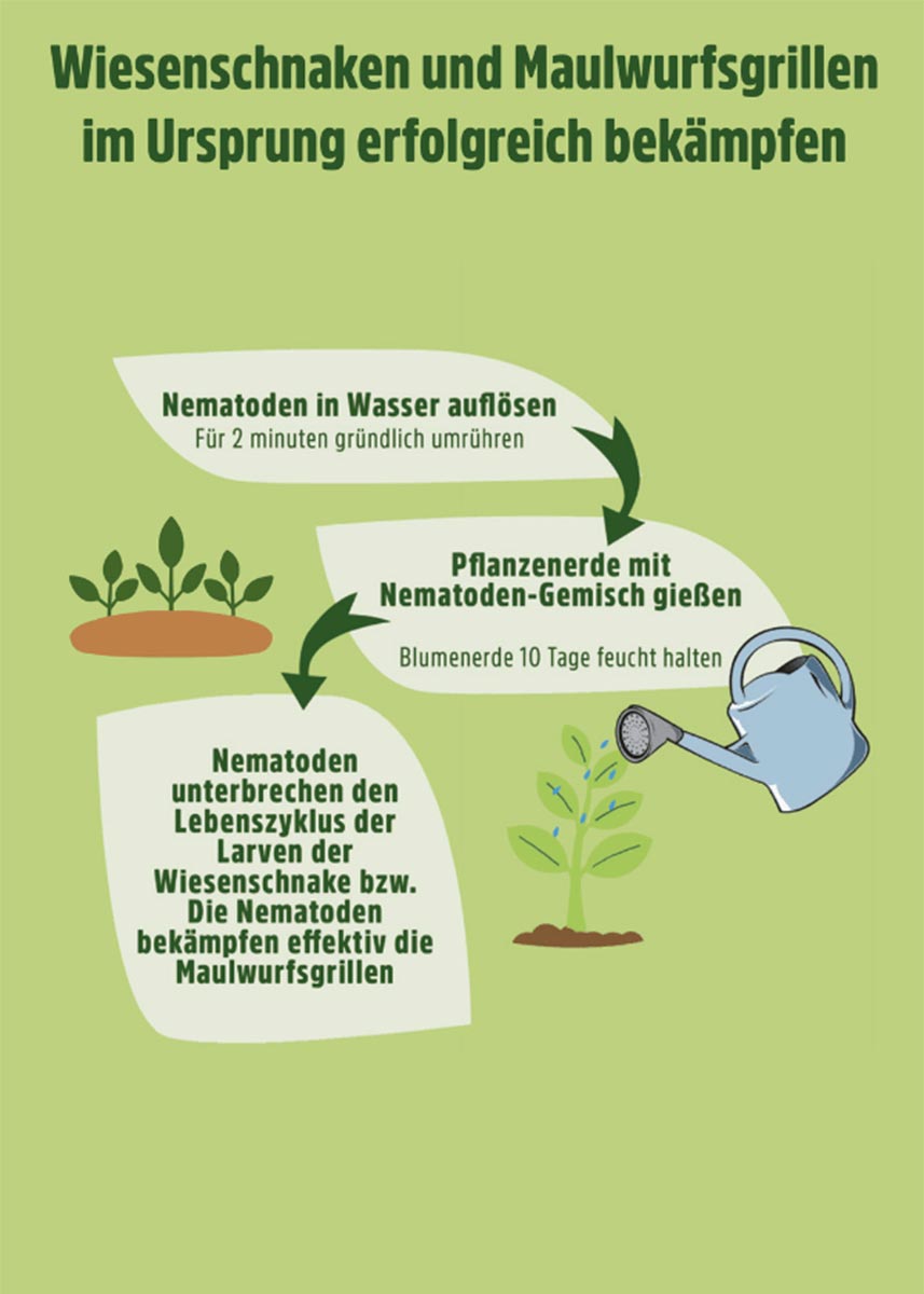 SC Nematoden gegen Wiesenschnake SC Nematoden gegen Wiesenschnake